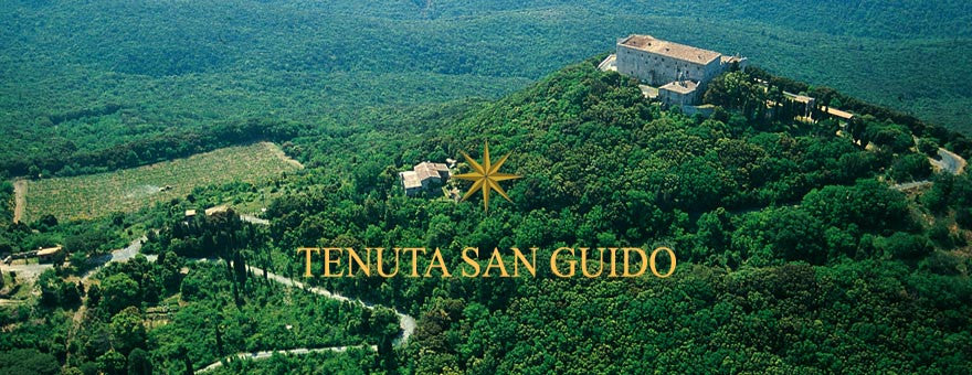 Tenuta San Guido Sassicaia Doc 2013 - Perbacco Wine Club 
